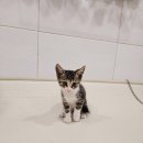 선일카센타 이미지