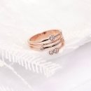 클라비스 이미지