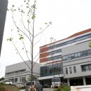 미추홀구 인천보훈병원 인천일보