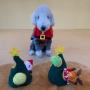 슈라즈하우스 이미지