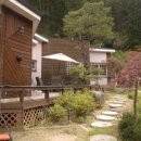 펜션 숲 이미지