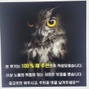 부엉이 PC | 성매매 영상만 1929개…후기 작가 &#39;검은 부엉이&#39; 잡고 보니