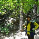 칠형제곰치국 이미지