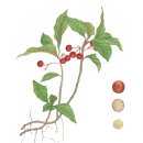 안덕유통 이미지