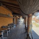 착한이모네 | 낙지요리 전문점 착한낙지 오정점 방문 후기