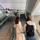 챤스꼬치 | 인천공항 1터미널 스카이허브 위치 메뉴 이용 후기