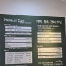 브로우고고 | 서산 속눈썹펌 맛집 동문동 수브로우 방문 후기