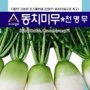황금인력 - 수원시 권선구 | 황금인력