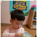 꼭꼭 숨어라 동물들아 이미지