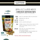 도그프리 이미지