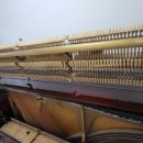 클랑음악학원 이미지