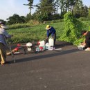 조종농약사 이미지