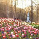 아침고요수목원 봄꽃축제 경기도 가볼만한곳 이미지