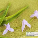 떡사랑전문점 이미지