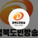 삼국유사 퀴즈대회 성황리 경북도민방송TV 군위군청 전라남도청 김진열군수 설윤지기자 한국신문방송인협회 국민의소리 이미지