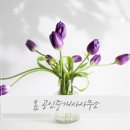 행복한미소공인중개사사무소 이미지