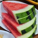 목넴기숯불갈비식육식당 | 마산 우가우가 식육식당 ｜ 합성동 고기집 한우 모듬 육회 양념갈비 단체모임 회식 장소 추천