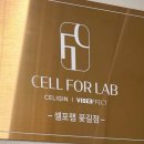 송수초등학교 | 부산 재송동 누워서 몸매 관리 다이어트 셀포랩 꽃길점