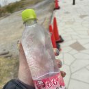 엄마와 아기의 후쿠옼아 여행기(2,3일차)