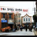 션사인 이미지