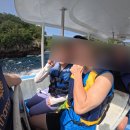 우리봉안 | 발리 스노쿨링 투어 만타 투어 누사렘봉안 거북이 본 후기(클룩 예약)