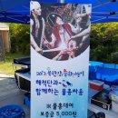8월 티에스아트컴퍼니 공연후기 ! &lt;2017북한강문화나들이 - 해적물총싸움&gt;