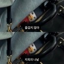 유월 주간지 1호