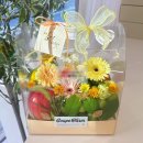 광진가든 | [광진] 화사한 과일 바구니 첫인사 선물 추천 | 포도밭 사나이 가든푸릇캐리어 후기