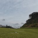 모나크cc 이미지