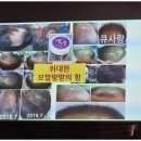 큐사랑머리염색 이미지