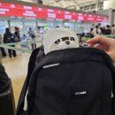 파프리카 조형물 | 2025년 6월 스위스 여행/ 1일차 인천공항-두바이-취리히 에미레이트 항공, 마하바 라운지 후기