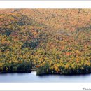 로렌시아 이미지