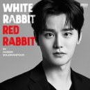 화이트래빗 이미지