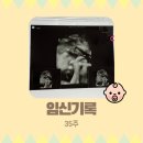 이레컴퓨터세탁 | 임신기록 35주[2] (막달검사, 분만상담, 분만결정, 제대혈 보관, 첫만남 이용권, 부모급여, 산후도우미...