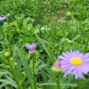 이화농장3 이미지