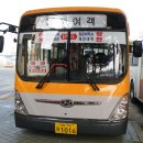 홍주여객 이미지