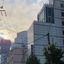 더세무회계