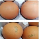 광신농장 이미지