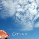 (유)파란하늘 이미지