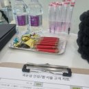 도아스튜디오 ) 춘천 속눈썹연장, 속눈썹펌, 입술색넣기, 튼살커버
