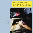 스테이;포포