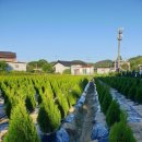 동트는농원 이미지