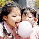 [사소한 역사] 많이 먹으면 충치 생기는 솜사탕… 처음 만든 사람은 치과의사래요 이미지