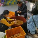 으뜸울금농장 이미지