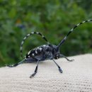 하늘소농장 이미지