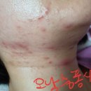 은민약국 네이버블로그