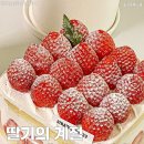 스트로베리32 이미지