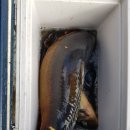 척산낚시터 이미지