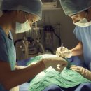 토비동물병원 이미지