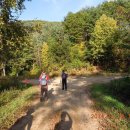 가락재정상쉼터 이미지